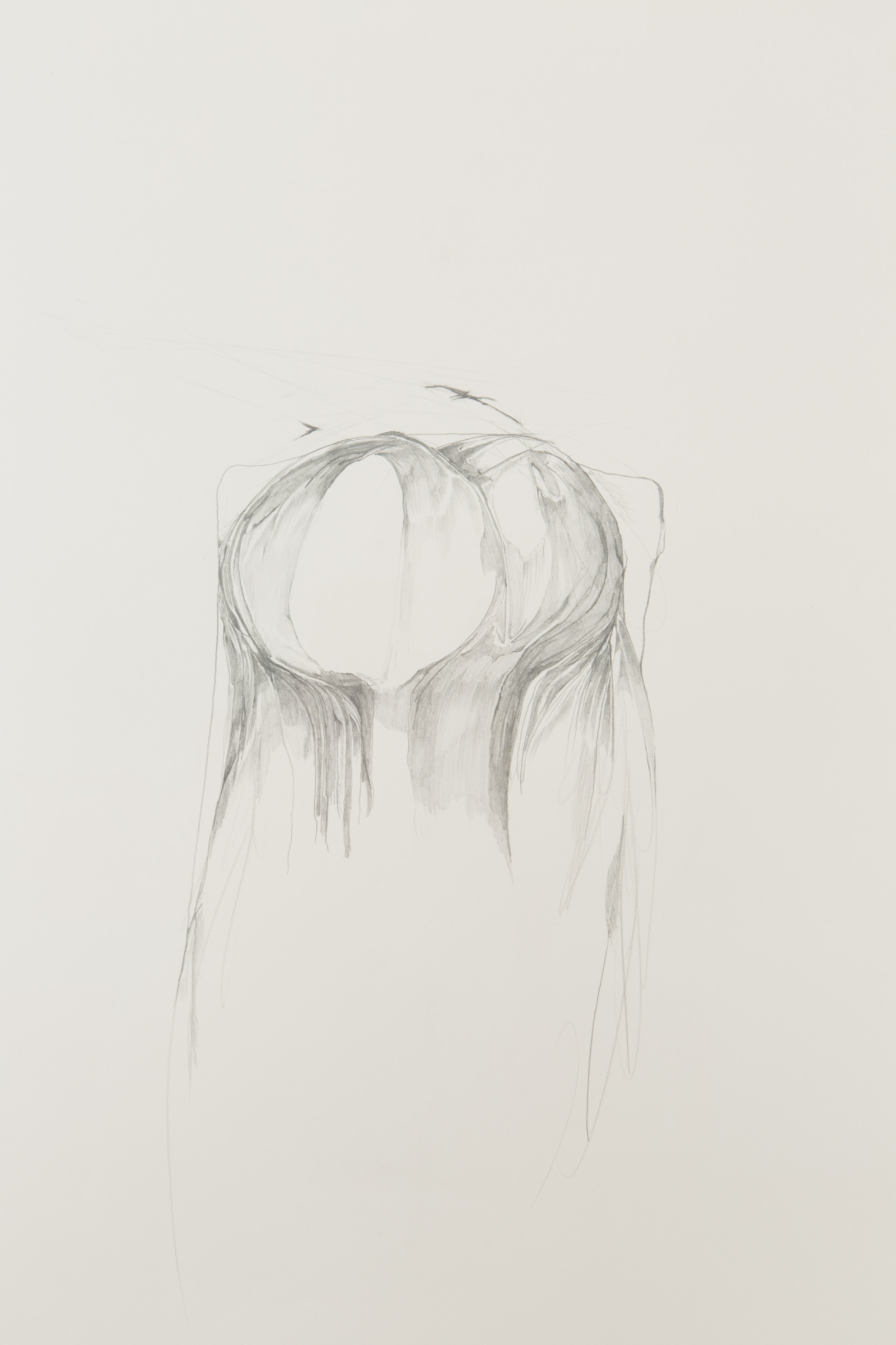 Drawing by Trisha Donnelly, , dated 2013–15