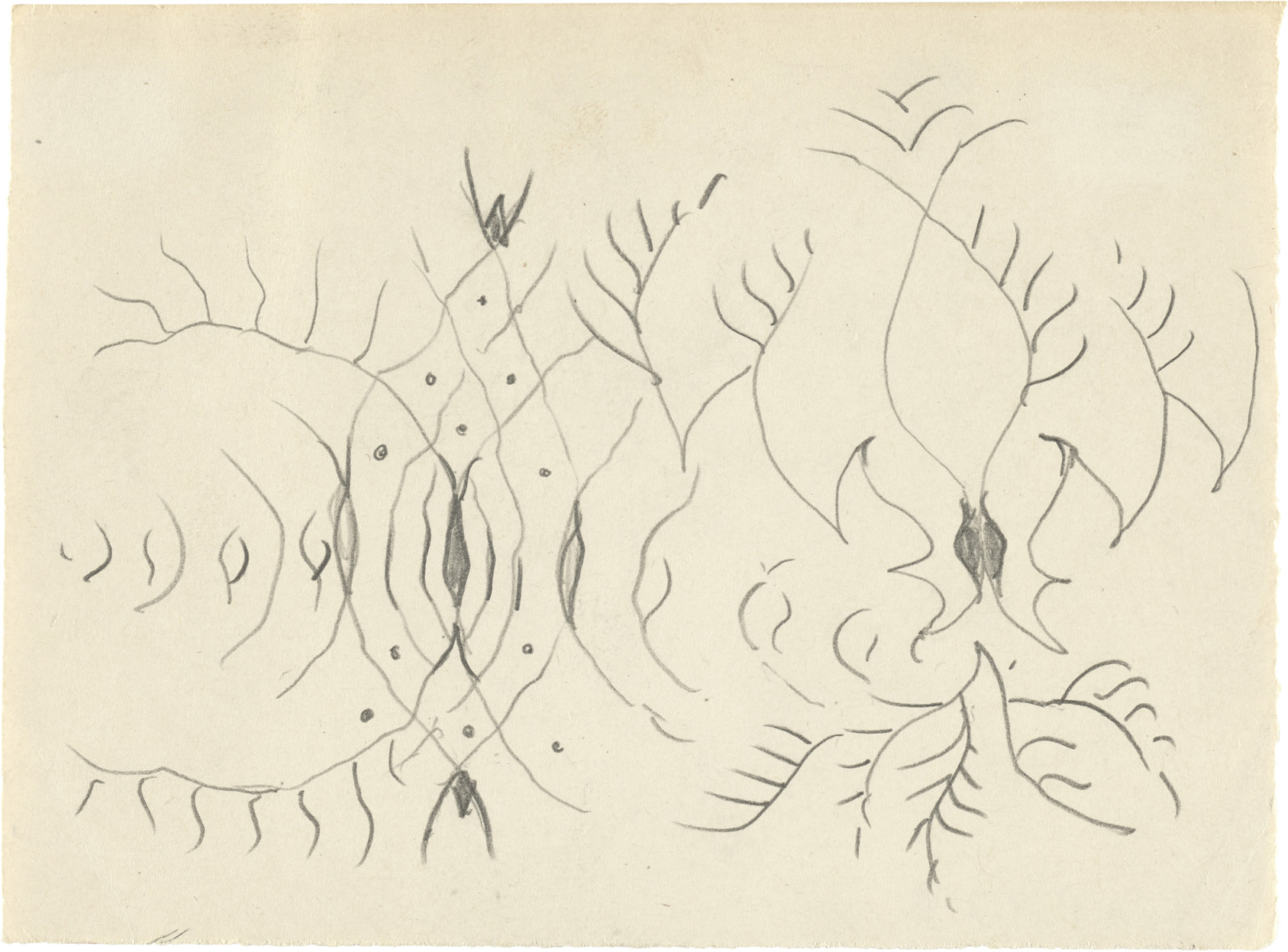 Drawing, dated c. 1950–60