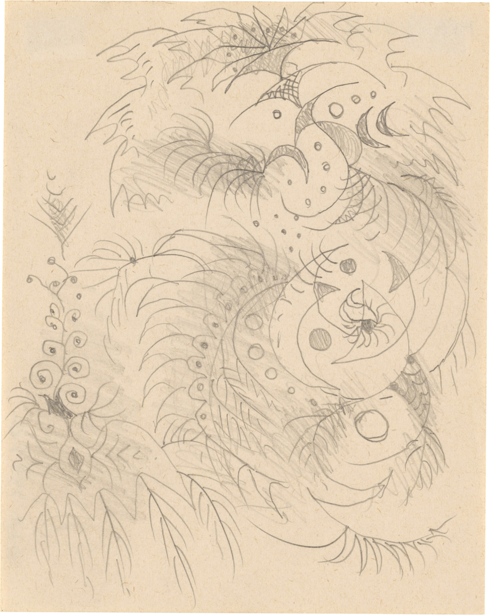 Drawing, dated c. 1950–60
