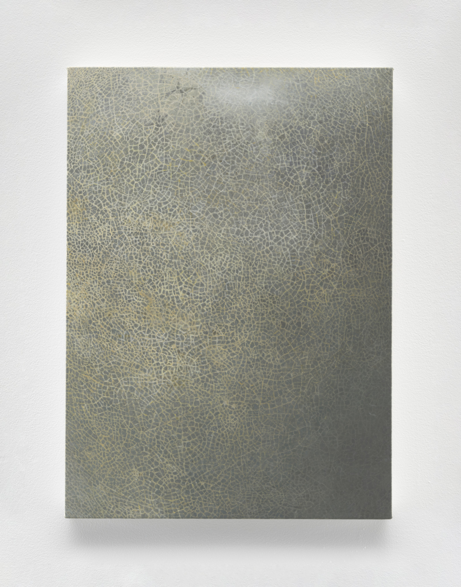 Painting by Vija Celmins, , dated 2017–18