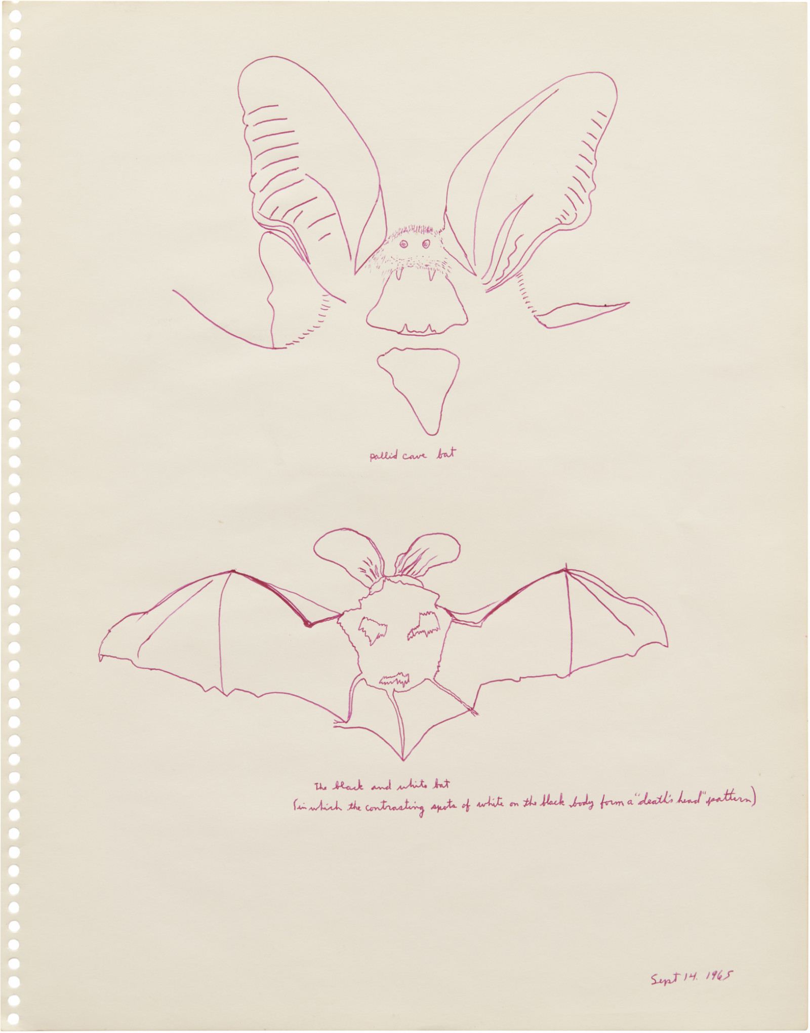 Drawing, dated September 1 - November 9, 1965