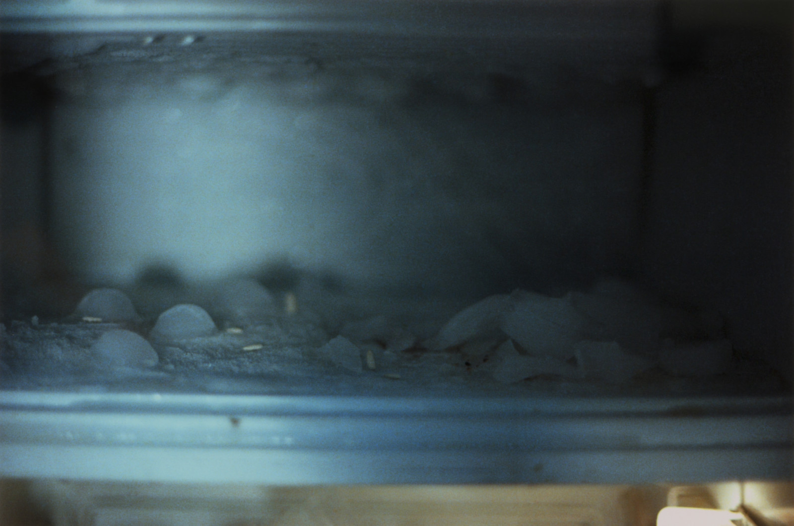 Photograph by Peter Fischli <span class="no_wrap">David Weiss</span>, , dated 1979